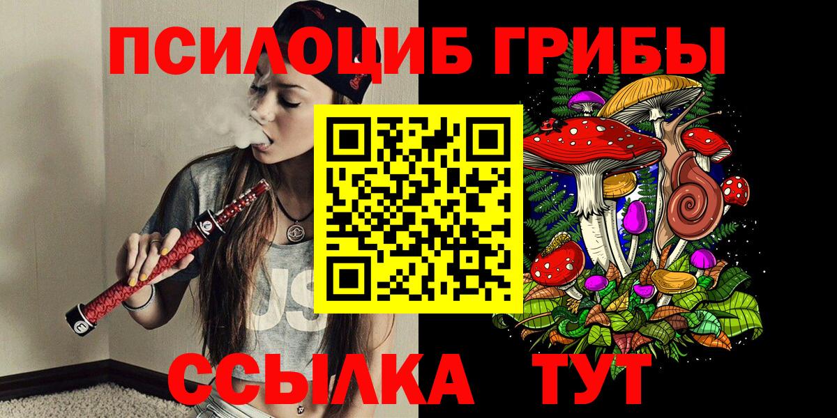 Галлюциногенные грибы мицелий  Псилоцибиновые грибы прущие грибы  Казань  купить закладку  Вход с VPN 